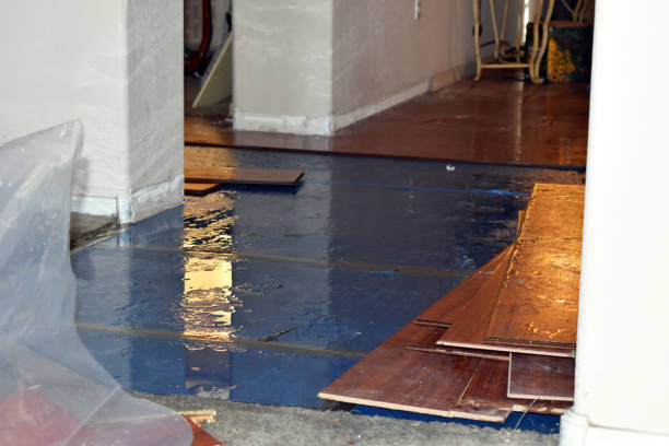 Professional Sewage Cleanup technician working in Kansas, OH